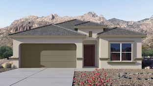 Gaven - Saguaro Bloom: Marana, Arizona - D.R. Horton