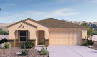 Easton - Saguaro Bloom: Marana, Arizona - D.R. Horton