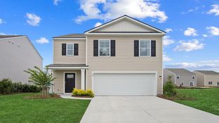 Robie - The Groves at Bees Creek: Ridgeland, South Carolina - D.R. Horton
