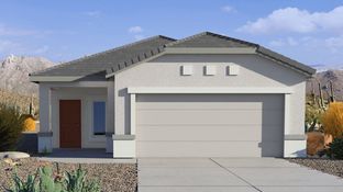 Mesquite - Amber Plan H30A - Saguaro Bloom: Marana, Arizona - D.R. Horton