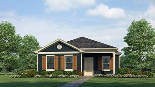 The Allanton - Sandy Ridge: Tuscaloosa, Alabama - D.R. Horton