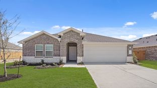 Glendale - Cypress Green: Hockley, Texas - D.R. Horton