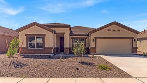 10097 N BLACK DALEA DR (Pearl)