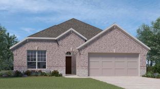 LORENZO - Alexander: Pearland, Texas - D.R. Horton