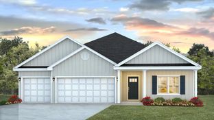 The Destin - Reserve at Brookhaven: Cantonment, Alabama - D.R. Horton