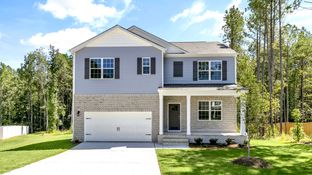 HAYDEN - McKay Place: Lillington, North Carolina - D.R. Horton
