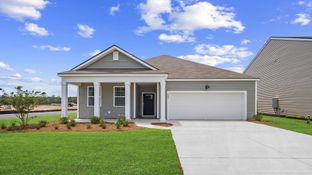 Aria - The Retreat at East Argent: Ridgeland, Georgia - D.R. Horton