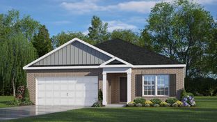 Aria - Hunter Hill: Rocky Mount, North Carolina - D.R. Horton