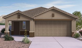Caroline - Saguaro Bloom: Marana, Arizona - D.R. Horton