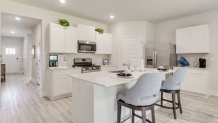 The Beau - Fallschase at Pathstone: Pensacola, Florida - D.R. Horton