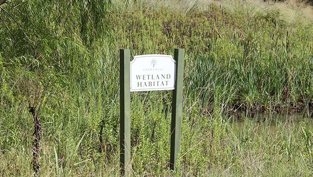 Subdivision Image 35