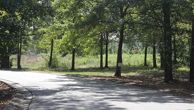 Subdivision Image 36