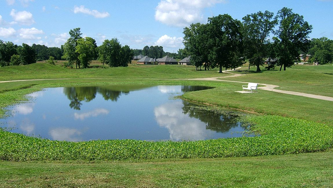 Subdivision Image 39