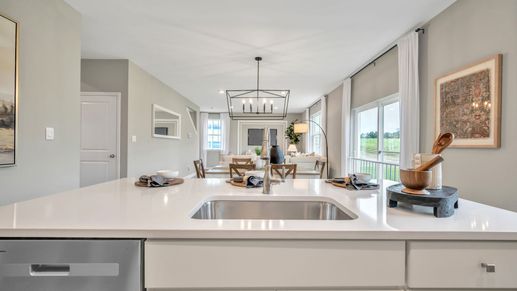 Subdivision Image 7