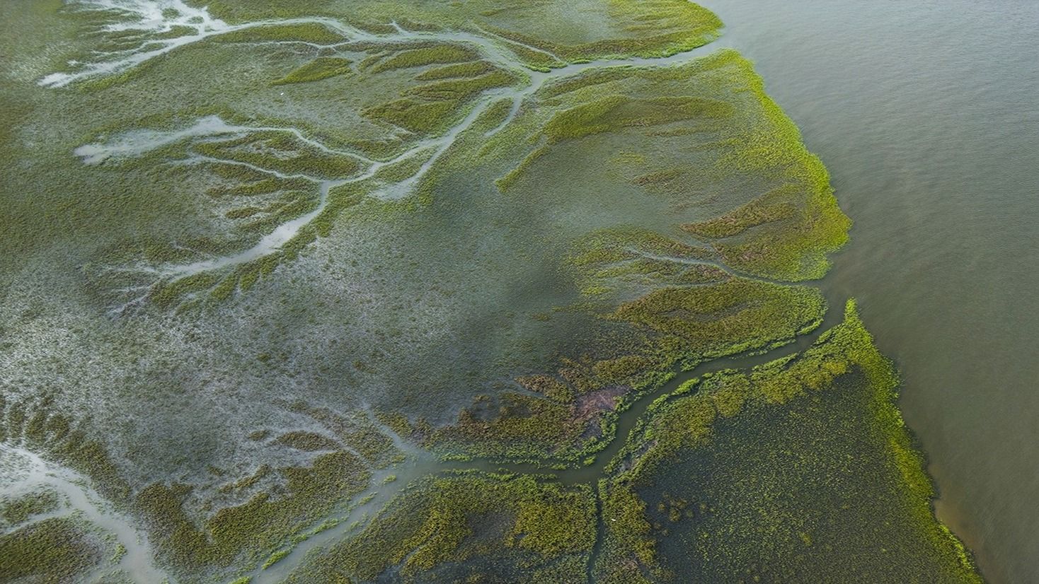 Subdivision Image 15