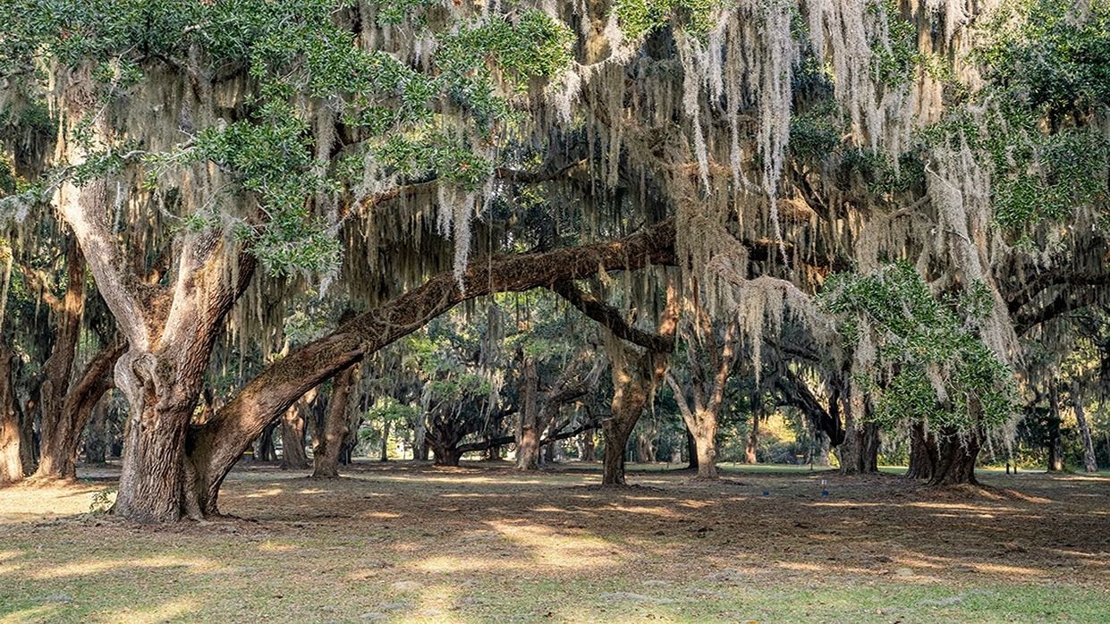 Subdivision Image 16