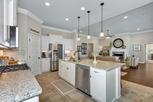 Home in Newby Chapel by DSLD Homes - Alabama