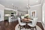 Home in The Estates at Heritage Lakes by DSLD Homes - Alabama