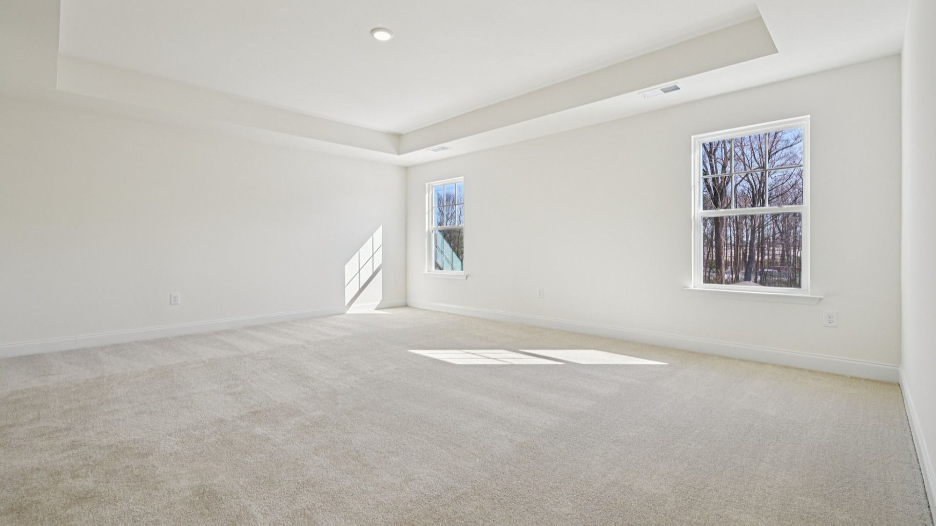 Wagener home plan spacious primary bedroom/suite with tray ceiling, natural light, walk-in closet and en suite bathroom