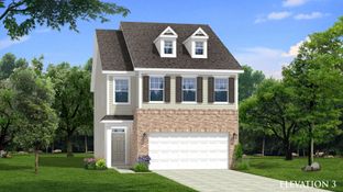 Callaway - Peace River Village Single Family: Raleigh, North Carolina - DRB Homes