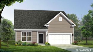 Cooper 3 - Station Pointe: Angier, North Carolina - DRB Homes
