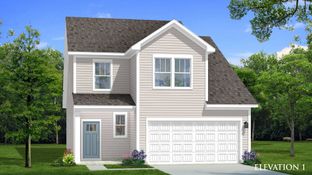 Freesia - Essex Village: Franklinton, North Carolina - DRB Homes