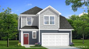Freesia - Essex Village: Franklinton, North Carolina - DRB Homes
