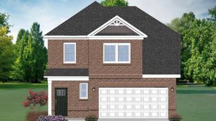 Freesia - Chandler Run: Durham, North Carolina - DRB Homes