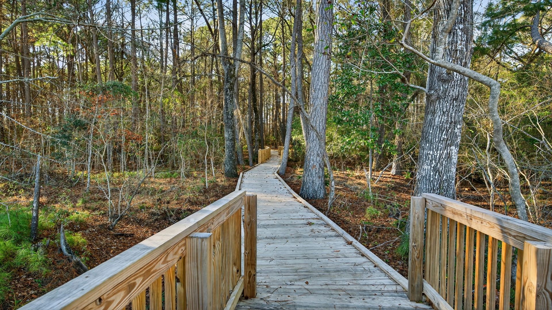 Wander through the tranquil wooded trail at Creekside at Andrews, perfect for peaceful strolls and fresh air