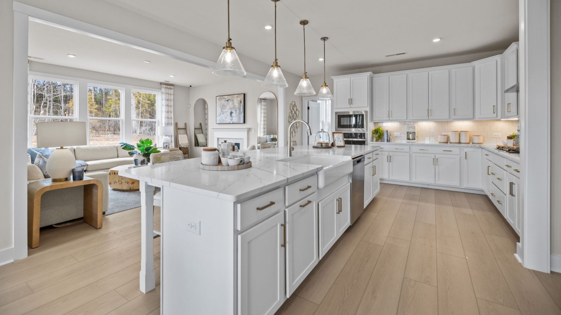 homes in Michaux Gardens by DRB Homes