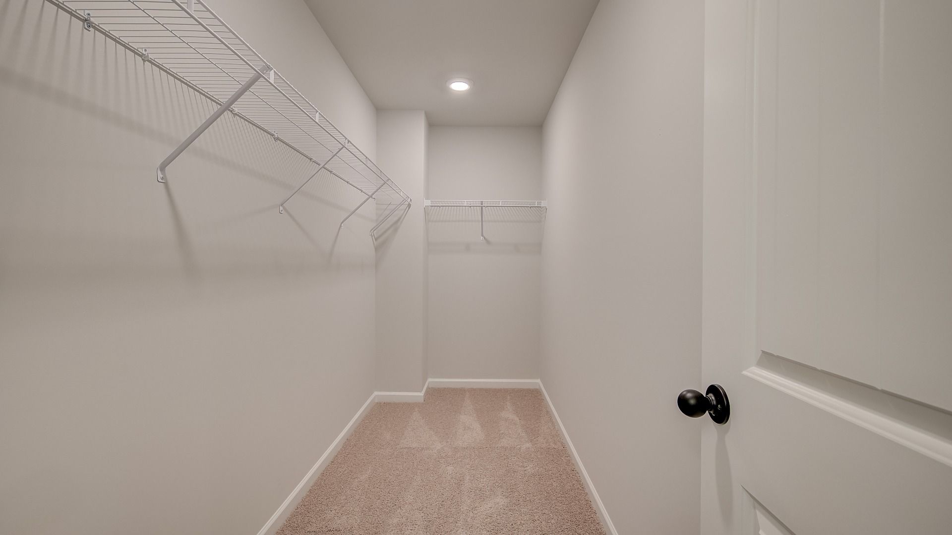 Walk-in primary closet with built-in shelving and carpet flooring in the Mitchell at Avery Landing new construction townhomes