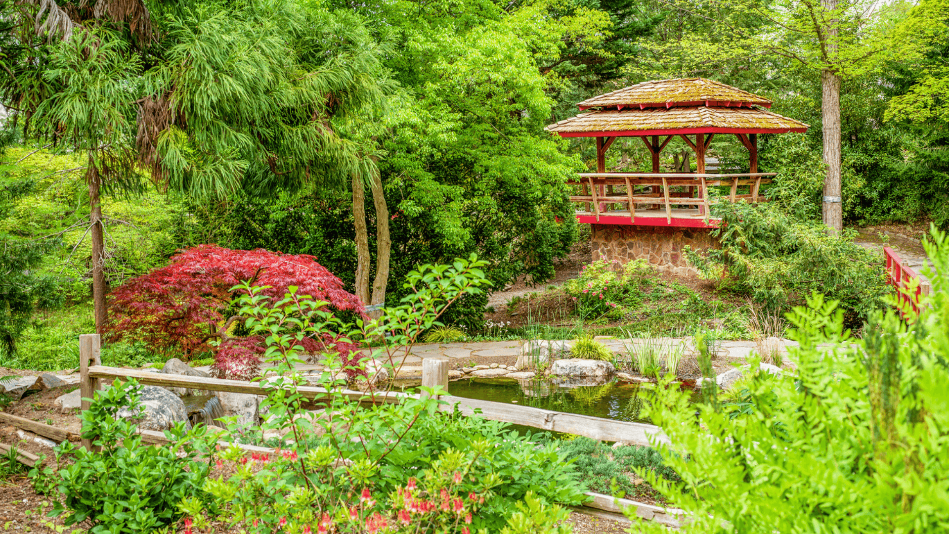 UNC Charlotte Botanical Gardens - 10 minutes away from Withrow Heights