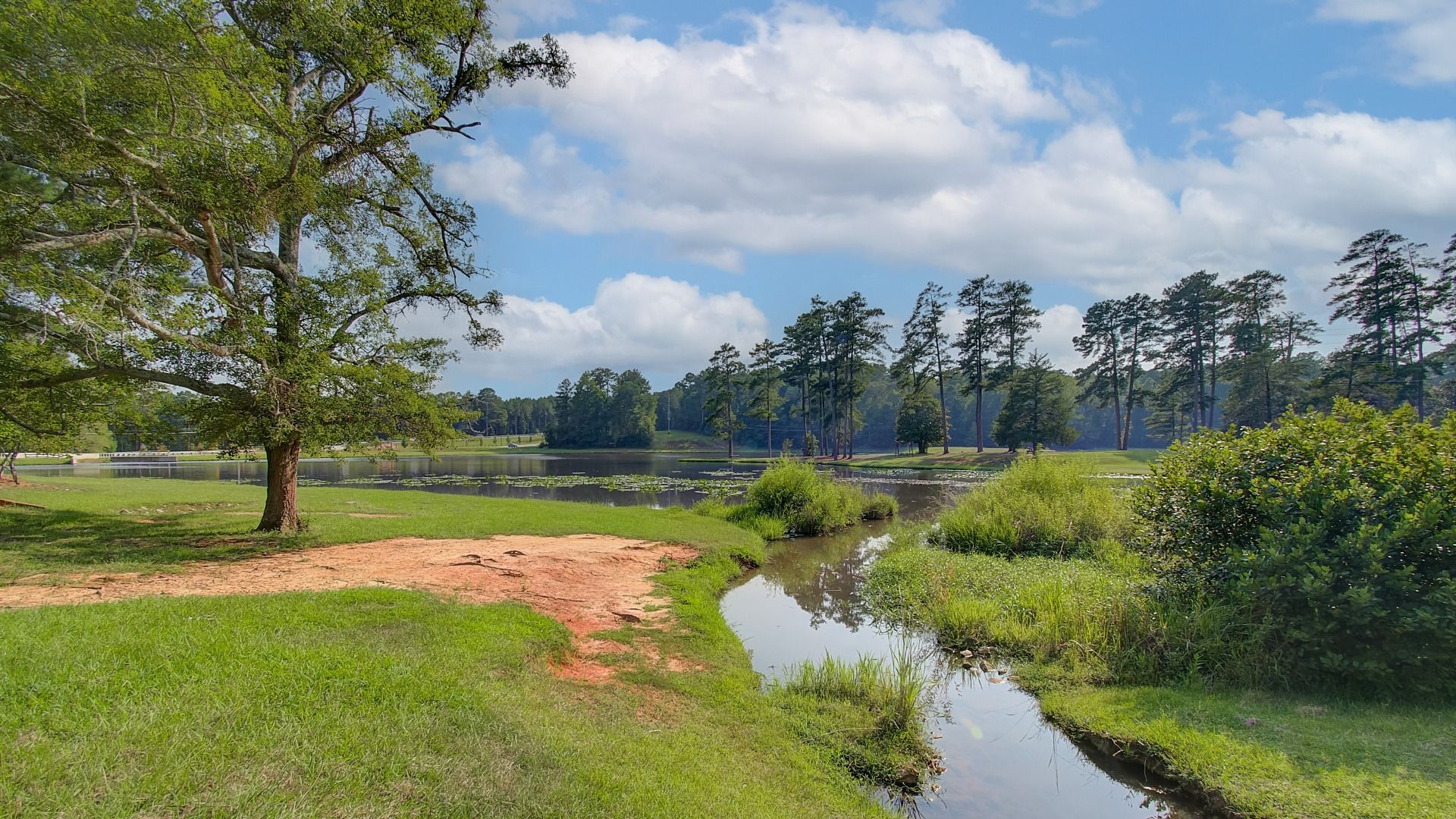 Scenic view showcasing Senoia's greenery and peaceful outdoors near Saddleridge in Senoia, GA.