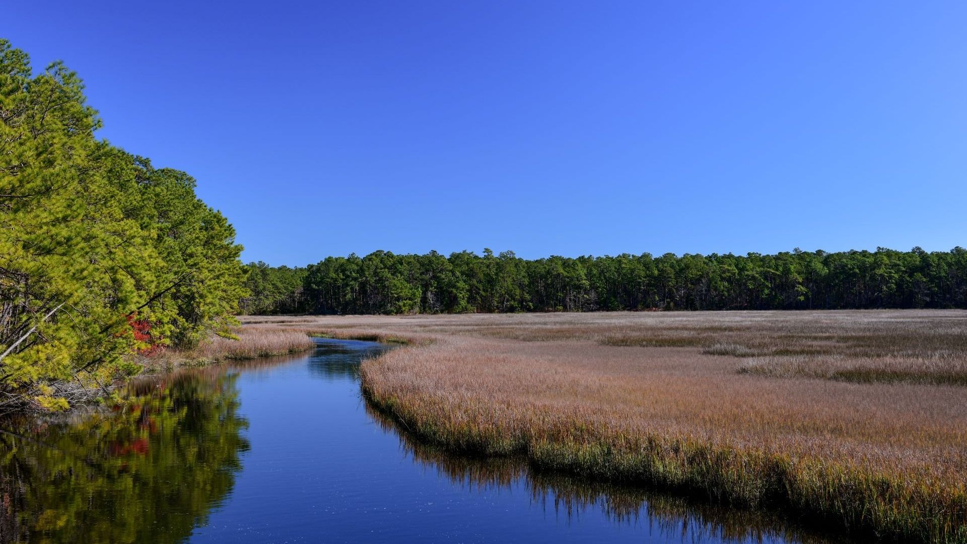 Awendaw, SC
