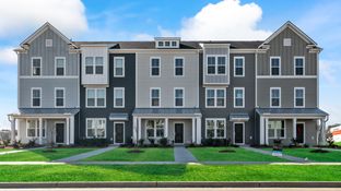 Ibis - Recess Pointe: Moncks Corner, South Carolina - DRB Homes