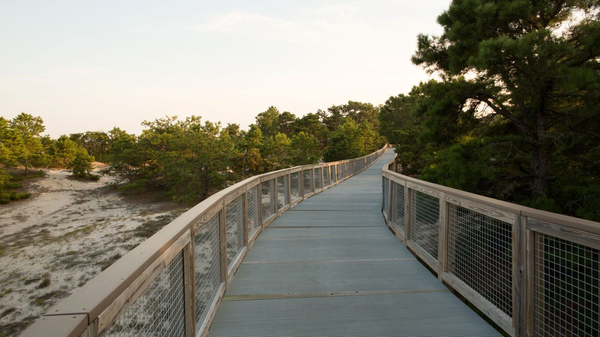 Direct Access to the Junction and Breakwater Trails from Olde Town at Lewes
