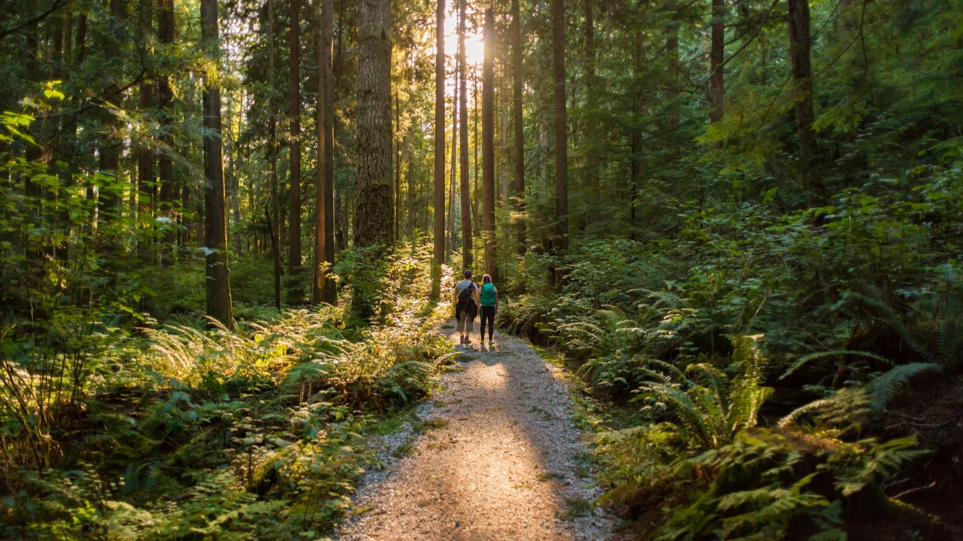 Nearby Walking and Hiking Trails