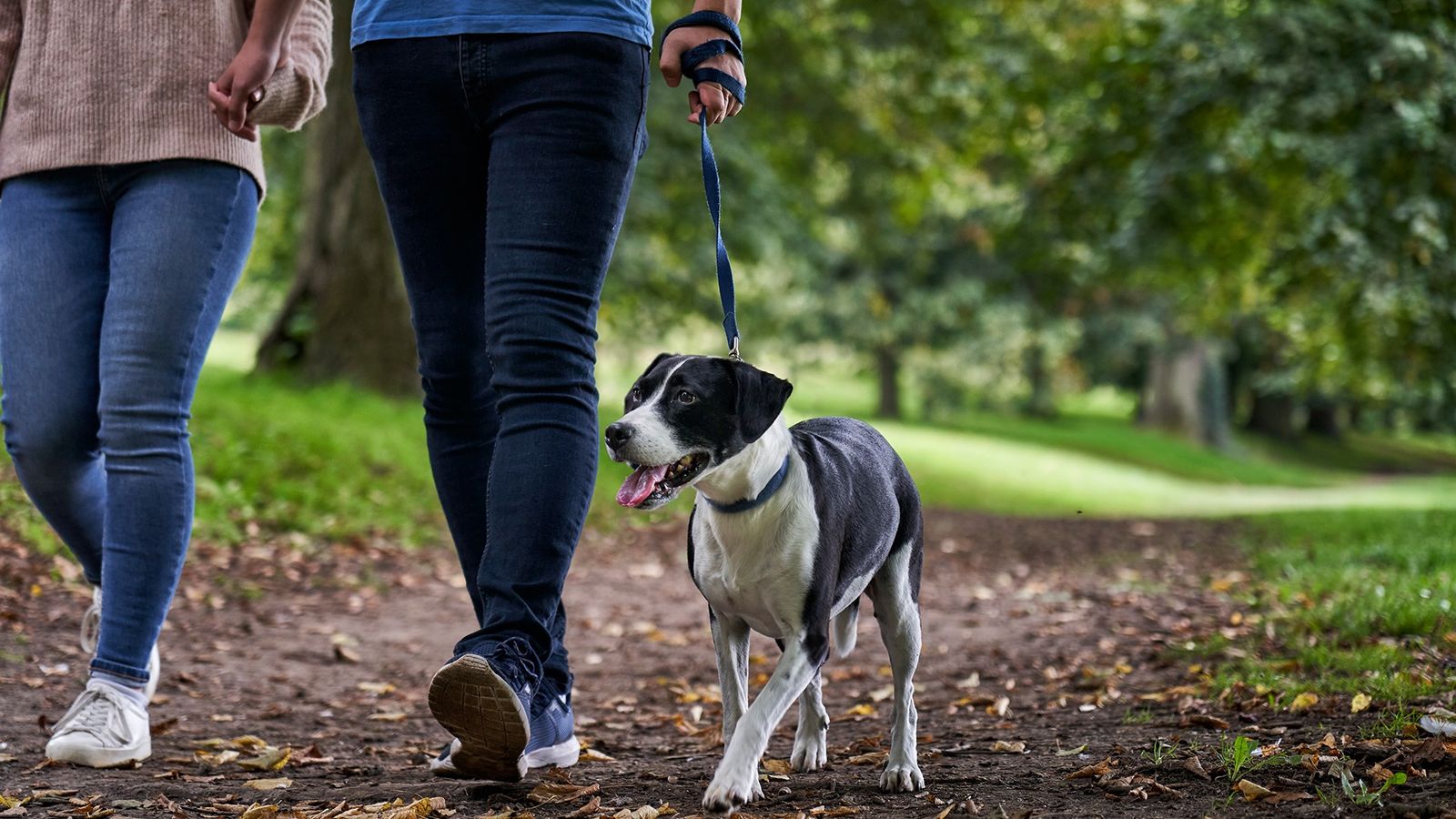 Spend Time Outdoors on the Community Trail at Northfax West Located in the City of Fairfax