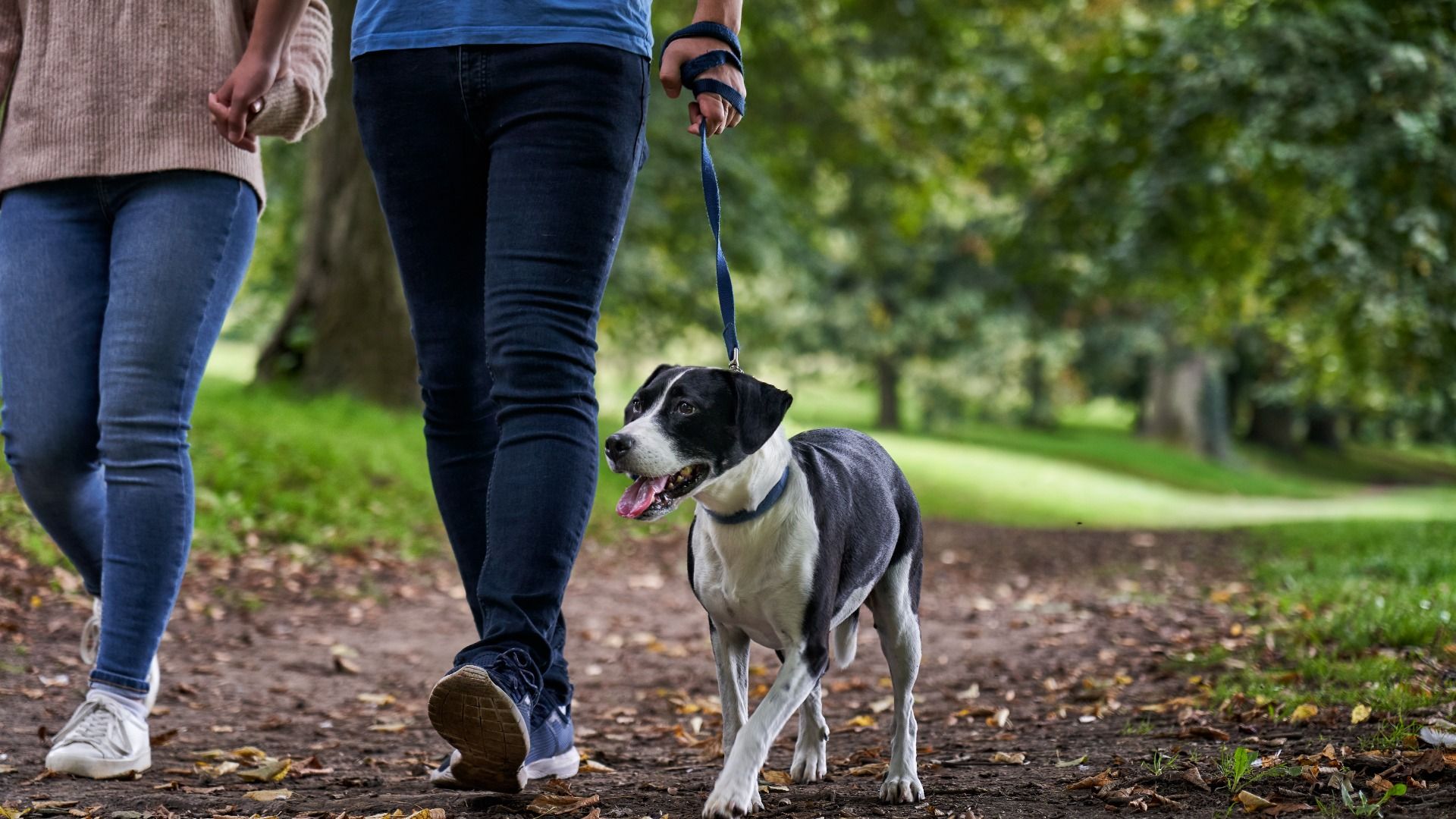 Spend Time Outdoors on the Scenic Heron Nature Trail – Located Onsite at Kincora in Loudoun County