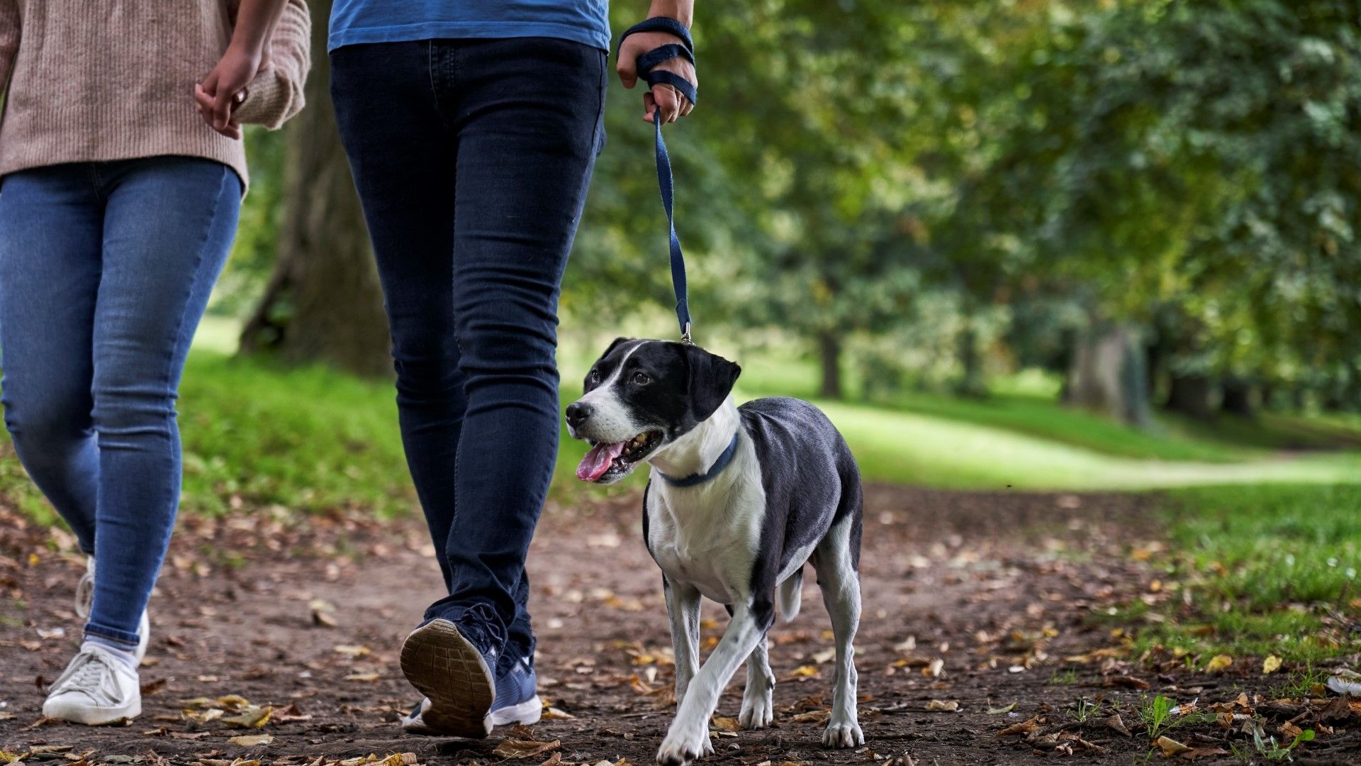 Community Scenic Trails