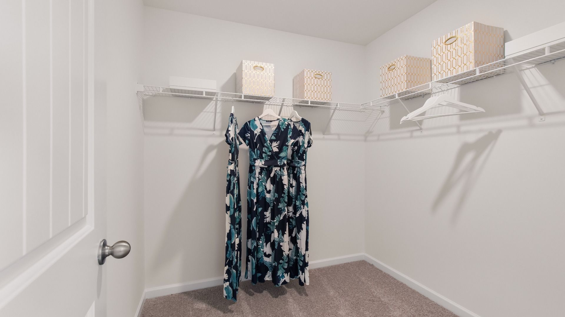 Primary walk-in closet connected to primary bath with built-in shelving and carpet flooring in the Wagener at Burchwood.