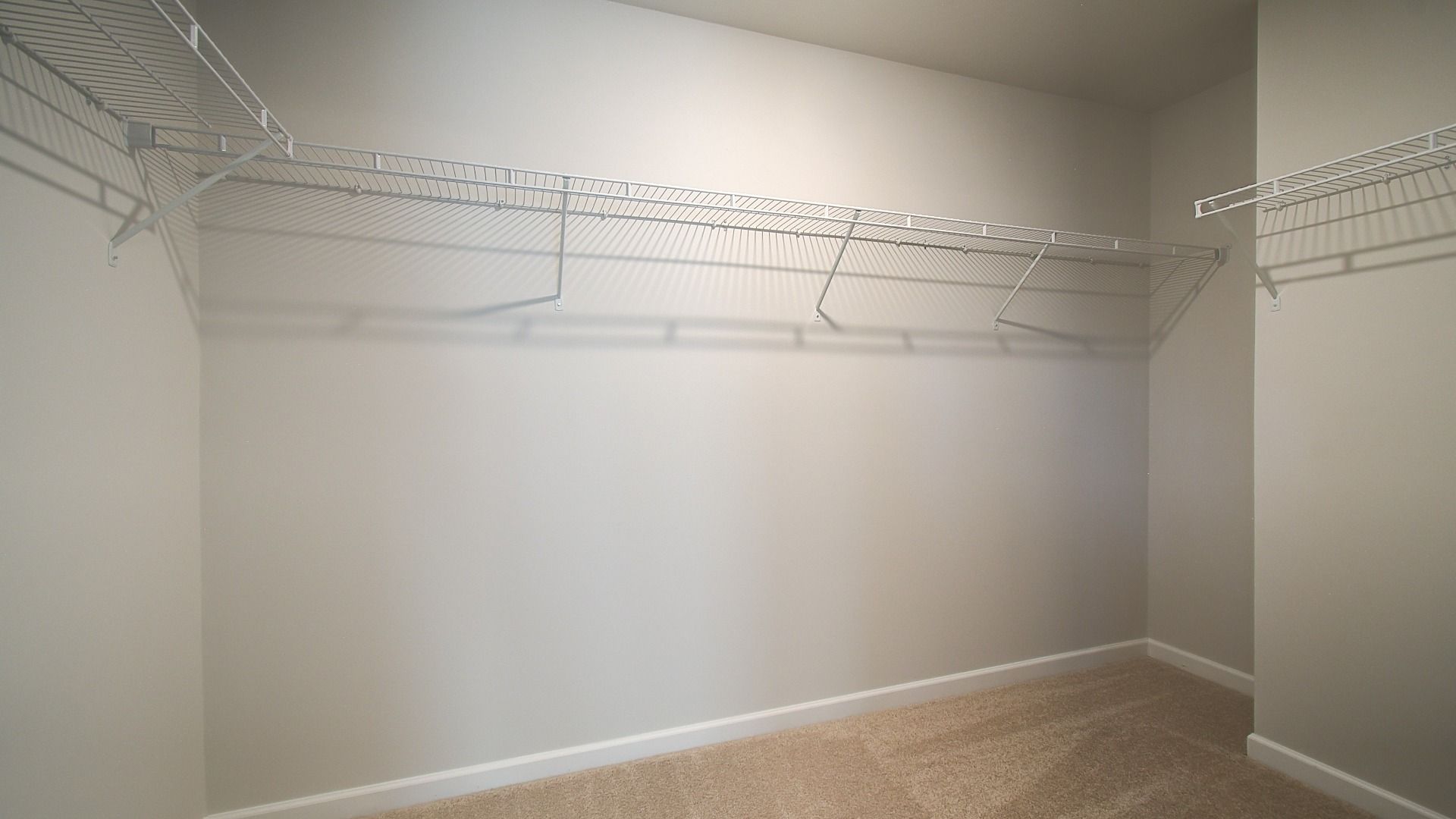 Spacious primary closet with carpet flooring and built-in shelving for organized storage in the Pelham at Bowers Farm.