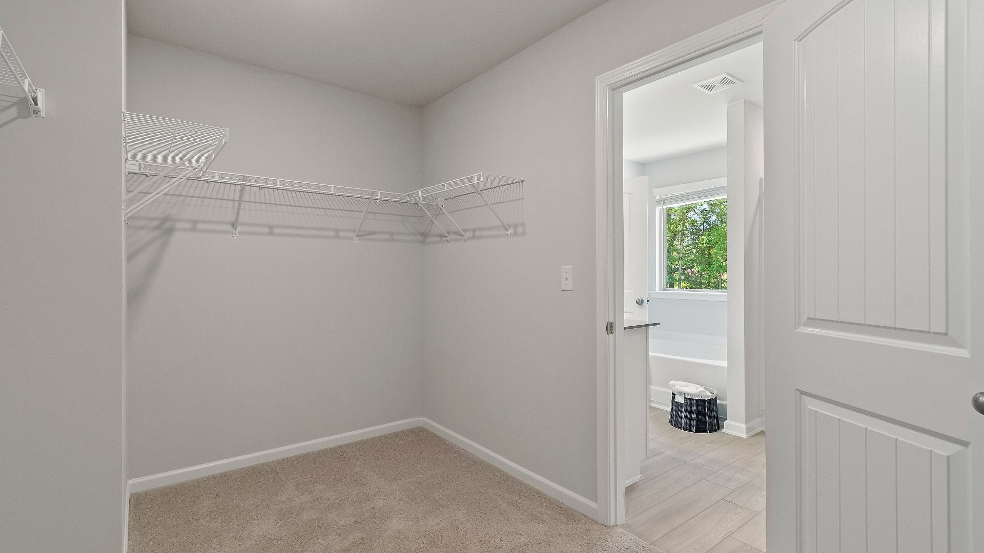 Primary closet with carpet flooring and shelving feature in Reagan floorplan at Abbotts Crossing.