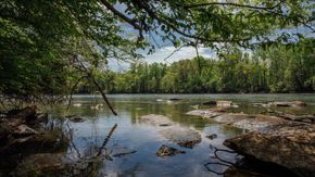 The River District Single Family Homes - Charlotte, NC
