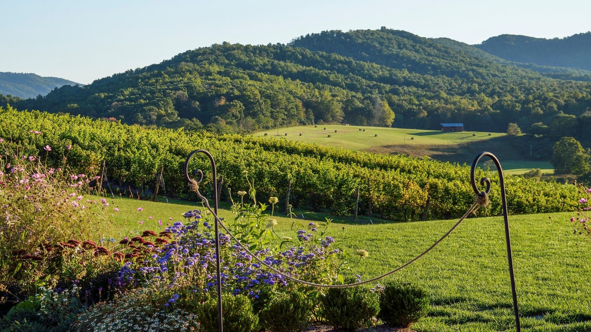 In Close Proximity to Northern Virginia Wine Country