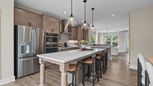 The River District Townhomes - Charlotte, NC