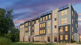 Clarendon - Uptown at One Loudoun: Ashburn, District Of Columbia - DRB Homes