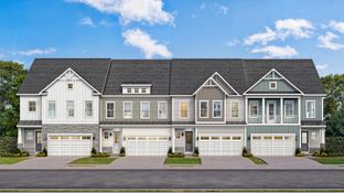 Orchid - Brunswick Crossing Villas: Brunswick, District Of Columbia - DRB Homes
