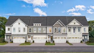 Dahlia - Brunswick Crossing Villas: Brunswick, District Of Columbia - DRB Homes