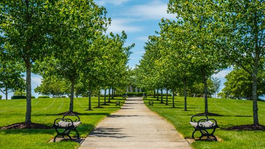 Huntfield offers open spaces outdoors with seating, prime relaxation spots.